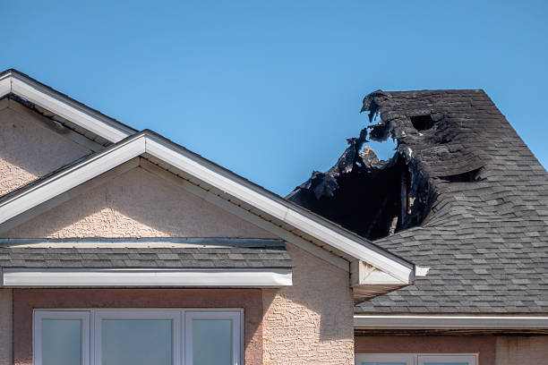 Top rated local Fire Damage Removal specialists in Trenton, NJ
